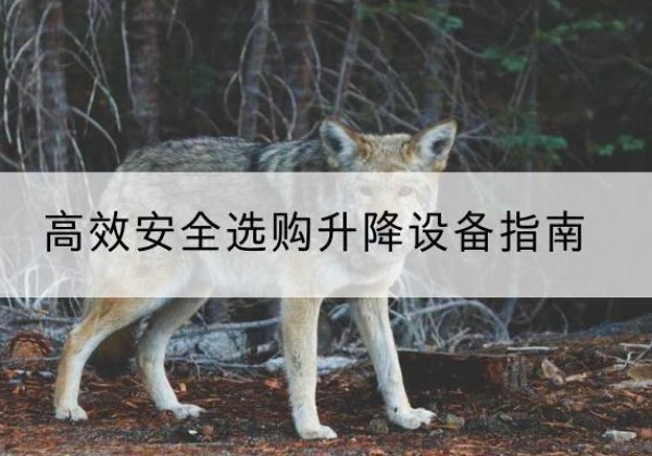 怀远升降货梯厂家推荐-*安全选购升降设备指南
