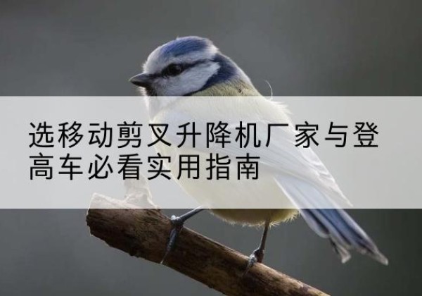 怀远电动升降机厂家-选移动剪叉升降机厂家与登高车必看实用指南