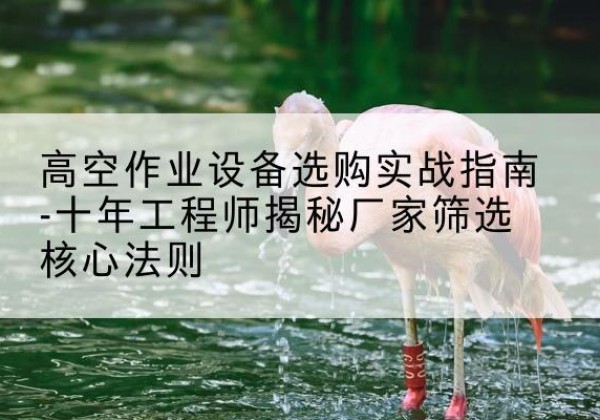 怀远剪叉式升降机厂家-高空作业设备选购实战指南-十年工程师揭秘厂家筛选核心法则